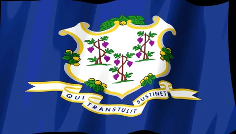 Connecticut Flag — Stream Deck screensaver