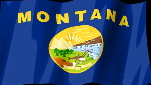 Montana Flag — Stream Deck screensaver