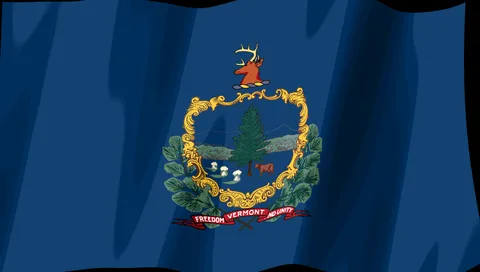 Vermont Flag — Stream Deck screensaver