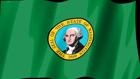 Washington Flag — Stream Deck screensaver