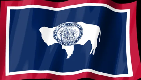 Wyoming Flag — Stream Deck screensaver